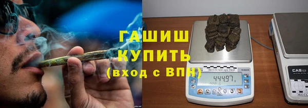 СК Елизово