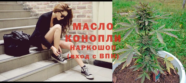 СК Елизово