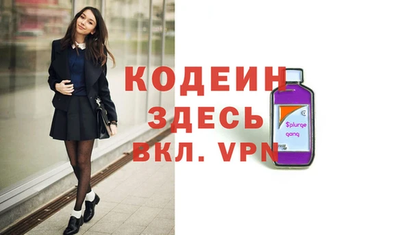 СК Елизово