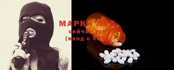 СК Елизово