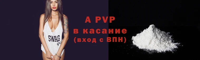 СК Елизово