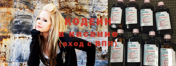 СК Елизово