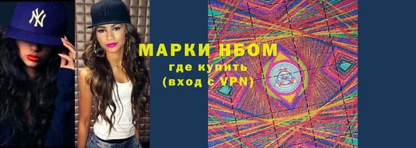 СК Елизово