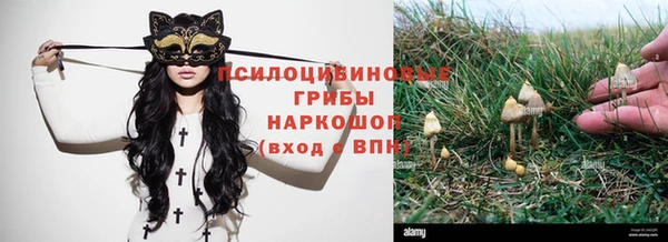 a pvp Елабуга