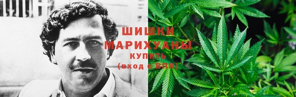 СК Елизово