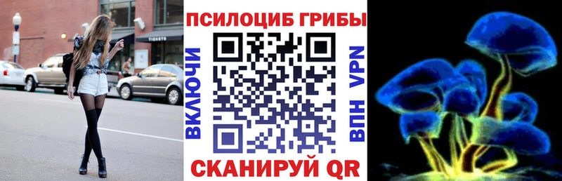 Галлюциногенные грибы GOLDEN TEACHER  Купить где  Александровское 