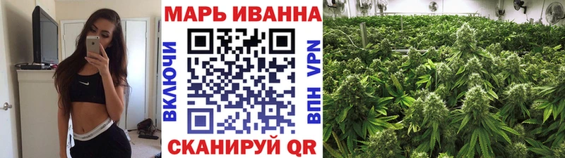 Каннабис OG Kush Александровское